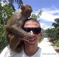 Нажмите на изображение для увеличения
Название: image.jpg
Просмотров: 404
Размер:	52.9 Кб
ID:	834832