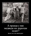 Нажмите на изображение для увеличения
Название: 3moBrP5i354.jpg
Просмотров: 378
Размер:	60.5 Кб
ID:	838024