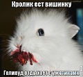 Нажмите на изображение для увеличения
Название: 4278104.jpg
Просмотров: 383
Размер:	64.7 Кб
ID:	849074