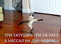 Нажмите на изображение для увеличения
Название: 4375514.jpg
Просмотров: 418
Размер:	64.1 Кб
ID:	863260