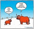 Нажмите на изображение для увеличения
Название: 4385848.jpg
Просмотров: 431
Размер:	62.5 Кб
ID:	863264
