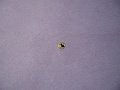 Нажмите на изображение для увеличения
Название: Img 1 015.jpg
Просмотров: 481
Размер:	332.4 Кб
ID:	866691