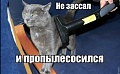 Нажмите на изображение для увеличения
Название: 1418778271_podborka_29.jpg
Просмотров: 415
Размер:	181.2 Кб
ID:	873308