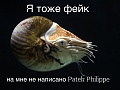 Нажмите на изображение для увеличения
Название: image.jpg
Просмотров: 715
Размер:	170.6 Кб
ID:	874864