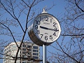 Нажмите на изображение для увеличения
Название: DSC05712.JPG
Просмотров: 444
Размер:	278.5 Кб
ID:	87968