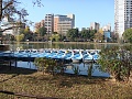 Нажмите на изображение для увеличения
Название: DSC05723.JPG
Просмотров: 392
Размер:	370.9 Кб
ID:	87978