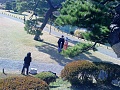 Нажмите на изображение для увеличения
Название: DSC00206.JPG
Просмотров: 168
Размер:	439.3 Кб
ID:	88067