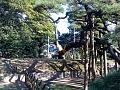 Нажмите на изображение для увеличения
Название: DSC00224.JPG
Просмотров: 170
Размер:	543.9 Кб
ID:	88073