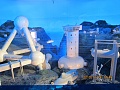 Нажмите на изображение для увеличения
Название: IMG_0334.JPG
Просмотров: 143
Размер:	229.4 Кб
ID:	88309