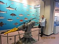 Нажмите на изображение для увеличения
Название: IMG_0378.JPG
Просмотров: 167
Размер:	179.5 Кб
ID:	88312