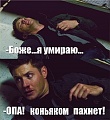 Нажмите на изображение для увеличения
Название: 4521550.jpg
Просмотров: 365
Размер:	55.8 Кб
ID:	885843