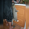 Нажмите на изображение для увеличения
Название: image (5).jpg
Просмотров: 358
Размер:	93.1 Кб
ID:	887374
