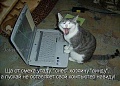 Нажмите на изображение для увеличения
Название: image (8).jpg
Просмотров: 346
Размер:	57.4 Кб
ID:	887375