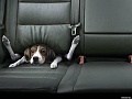 Нажмите на изображение для увеличения
Название: image (12).jpg
Просмотров: 339
Размер:	82.9 Кб
ID:	887377