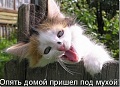 Нажмите на изображение для увеличения
Название: image (11).jpg
Просмотров: 330
Размер:	98.6 Кб
ID:	887378