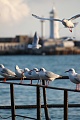 Нажмите на изображение для увеличения
Название: IMG_2686-2.jpg
Просмотров: 68
Размер:	229.6 Кб
ID:	89044