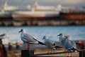 Нажмите на изображение для увеличения
Название: IMG_2700-2.jpg
Просмотров: 52
Размер:	210.1 Кб
ID:	89045