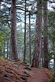 Нажмите на изображение для увеличения
Название: IMG_5810-2.jpg
Просмотров: 79
Размер:	624.3 Кб
ID:	89053
