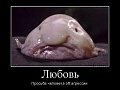 Нажмите на изображение для увеличения
Название: 129183_lyubov_demotivators_to.jpg
Просмотров: 351
Размер:	49.1 Кб
ID:	891439