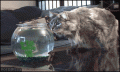 Нажмите на изображение для увеличения
Название: people_who_received_a_good_lesson_in_karma_32.gif
Просмотров: 389
Размер:	1.98 Мб
ID:	894566