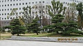 Нажмите на изображение для увеличения
Название: IMG_0702.JPG
Просмотров: 120
Размер:	290.2 Кб
ID:	89470