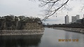 Нажмите на изображение для увеличения
Название: IMG_0703.JPG
Просмотров: 127
Размер:	194.4 Кб
ID:	89471