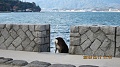 Нажмите на изображение для увеличения
Название: IMG_0822.JPG
Просмотров: 117
Размер:	277.7 Кб
ID:	89479
