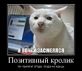 Нажмите на изображение для увеличения
Название: 598050_pozitivnyij-krolik_demotivators_to.jpg
Просмотров: 370
Размер:	75.9 Кб
ID:	895090