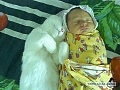 Нажмите на изображение для увеличения
Название: 4629114.jpg
Просмотров: 273
Размер:	86.9 Кб
ID:	896616