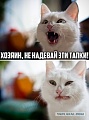Нажмите на изображение для увеличения
Название: 4627031.jpg
Просмотров: 335
Размер:	47.6 Кб
ID:	900823