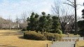 Нажмите на изображение для увеличения
Название: IMG_1456.JPG
Просмотров: 105
Размер:	312.3 Кб
ID:	90130