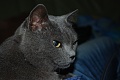Нажмите на изображение для увеличения
Название: DSC_0012.jpg
Просмотров: 102
Размер:	290.8 Кб
ID:	906413