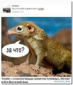 Нажмите на изображение для увеличения
Название: 4706776.jpg
Просмотров: 410
Размер:	108.5 Кб
ID:	908520