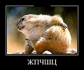 Нажмите на изображение для увеличения
Название: 1422913200_demotivatory_09.jpg
Просмотров: 311
Размер:	47.5 Кб
ID:	910913