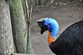Нажмите на изображение для увеличения
Название: Бали 2011 275.jpg
Просмотров: 111
Размер:	302.6 Кб
ID:	94726