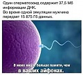 Нажмите на изображение для увеличения
Название: getImage (15).jpg
Просмотров: 376
Размер:	31.8 Кб
ID:	963050