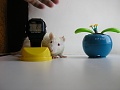 Нажмите на изображение для увеличения
Название: P1010069.jpg
Просмотров: 1398
Размер:	256.8 Кб
ID:	977232