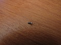 Нажмите на изображение для увеличения
Название: IMG_5507.JPG
Просмотров: 138
Размер:	75.7 Кб
ID:	99227