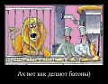 Нажмите на изображение для увеличения
Название: 1342559033_13287157504f3297e691dce.jpg
Просмотров: 346
Размер:	83.1 Кб
ID:	996359