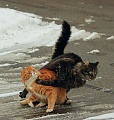 Нажмите на изображение для увеличения
Название: йц.jpg
Просмотров: 253
Размер:	59.7 Кб
ID:	996799