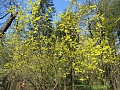 Нажмите на изображение для увеличения
Название: IMG_1000.jpg
Просмотров: 1256
Размер:	972.5 Кб
ID:	999861