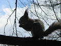 Нажмите на изображение для увеличения
Название: IMG_1006.jpg
Просмотров: 1250
Размер:	295.1 Кб
ID:	999865