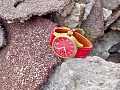 Нажмите на изображение для увеличения
Название: Steinhart Pilot Red 045 (1)~01.jpg
Просмотров: 125
Размер:	366.6 Кб
ID:	2304643