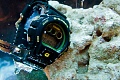 Нажмите на изображение для увеличения
Название: subcrew-casio-gshock-sharkmarine-dw6900-2.jpg
Просмотров: 266
Размер:	137.4 Кб
ID:	181993