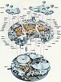 Нажмите на изображение для увеличения
Название: IMG_0845.JPG
Просмотров: 161
Размер:	244.1 Кб
ID:	2365117