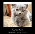 Нажмите на изображение для увеличения
Название: 663720_koteizm_demotivators_to.jpg
Просмотров: 305
Размер:	86.7 Кб
ID:	900813