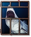 Нажмите на изображение для увеличения
Название: IWC-Fotobuch_Sharks-Michael-Muller.jpg
Просмотров: 156
Размер:	456.1 Кб
ID:	1653135