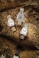 Нажмите на изображение для увеличения
Название: BVLGARI_LVMH-WATCH-WEEK-DUBAI-2020_RUS-scaled.jpg
Просмотров: 86
Размер:	352.5 Кб
ID:	2929456