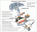 Нажмите на изображение для увеличения
Название: Kinetic_tech.gif
Просмотров: 238
Размер:	87.8 Кб
ID:	94623