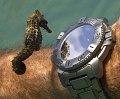 Нажмите на изображение для увеличения
Название: 5730755-R3L8T8D-600-seahorse-checking-out-divers-watch-and-own-reflection-underwater.jpg
Просмотров: 325
Размер:	118.2 Кб
ID:	358731